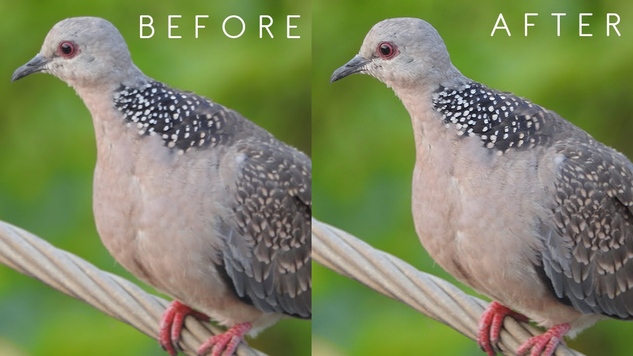 How to Reduce image blurring or Camera Shake in Photoshop