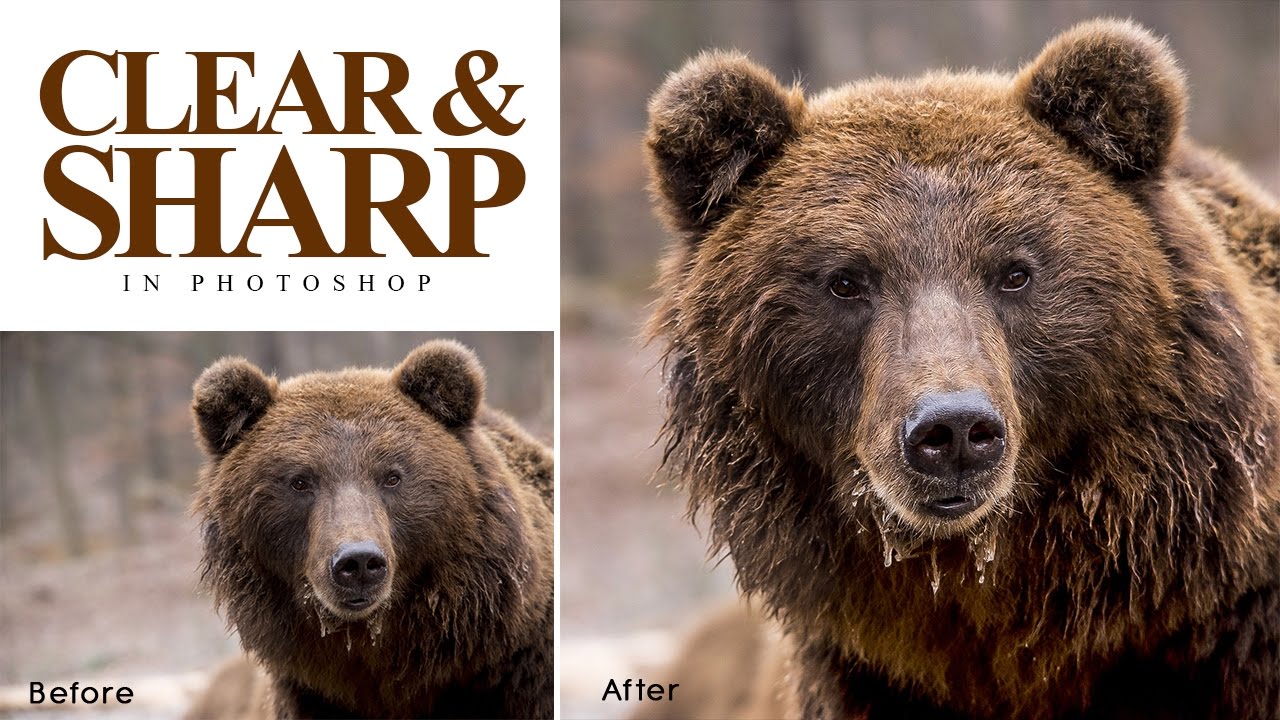 How to Make Clear Sharp Photos in Photoshop