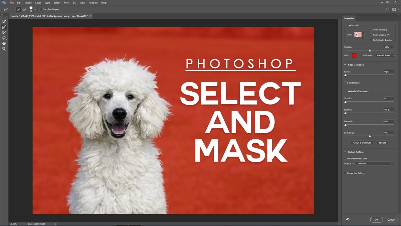 How to Use Select and Mask Easily in Photoshop - Beginner's Guide