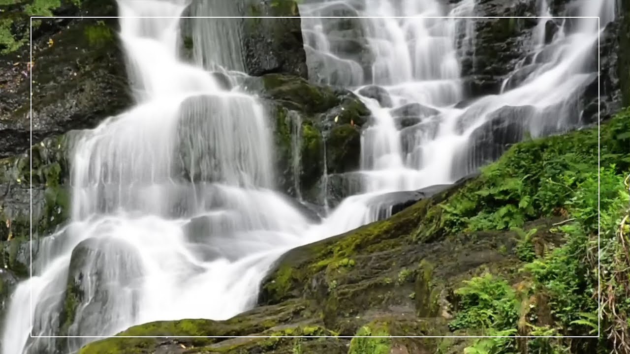 Соло природа видео. Национальный парк Килларни водопад. Природа видео высокого качества. Водопад релакс. Водопады Ирландии.