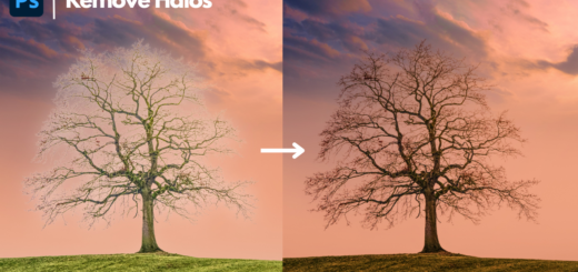 How to Remove Halos in Photoshop with This Easy Trick!
